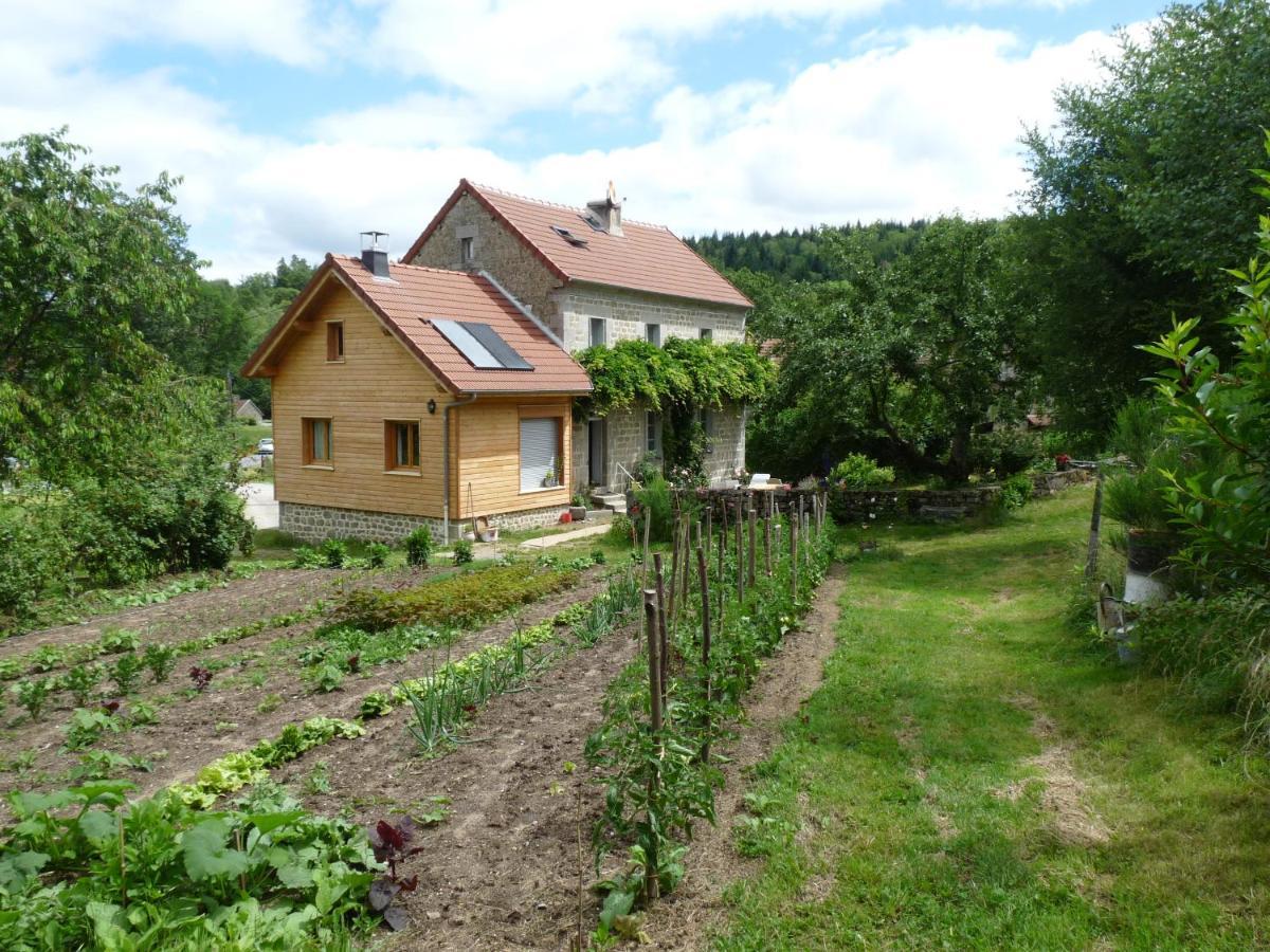 Chez Geppetto Bed and Breakfast Saint-Georges-Nigremont Buitenkant foto